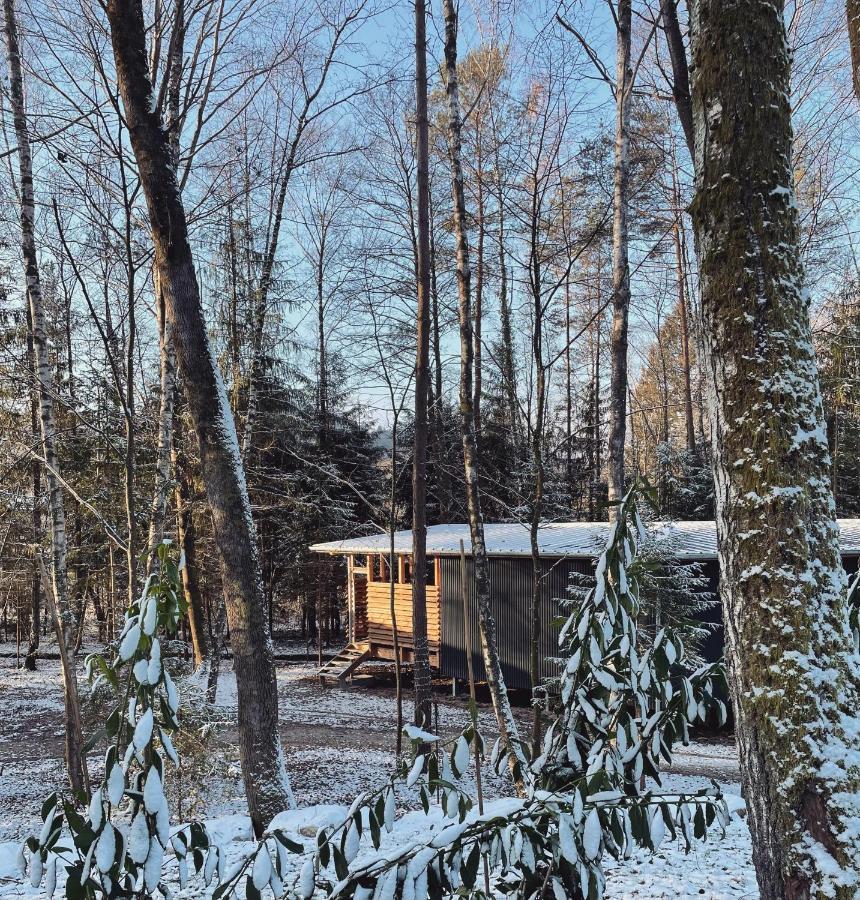Madame Imagine, Lodges & Spa Épinal Exterior foto